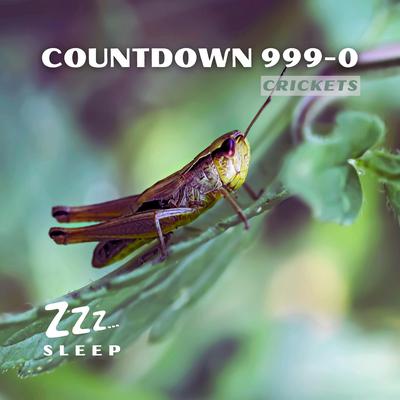 Countdown 999-0 by ZZZ Sleep audiobook