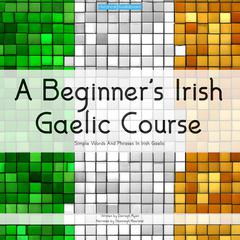 A Beginner's Irish Gaelic Course by Darragh Ryan audiobook