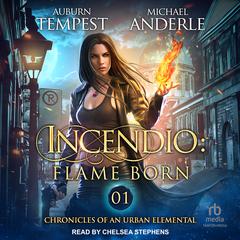 Incendio by Michael Anderle audiobook