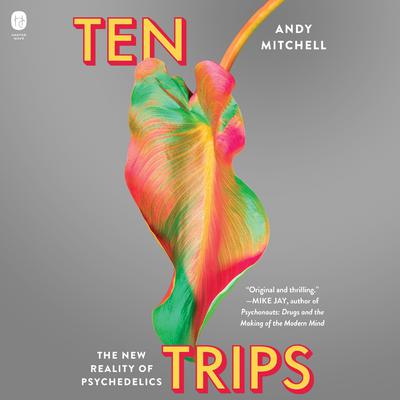 Ten Trips by Andy Mitchell audiobook