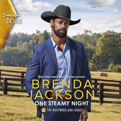 One Steamy Night by Brenda Jackson audiobook
