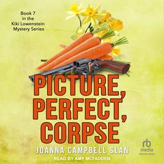 Picture, Perfect, Corpse by Joanna Campbell Slan audiobook