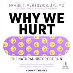 Why We Hurt by Frank T. Vertosick, Jr. audiobook