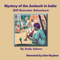 Mystery of the Ambush in India by Andy Adams audiobook