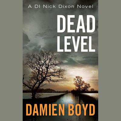 Dead Level by Damien Boyd audiobook