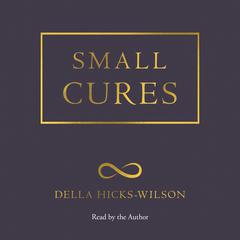 Small Cures by Della Hicks-Wilson audiobook