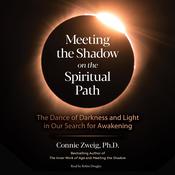 Meeting the Shadow on the Spiritual Path by  Connie Zweig audiobook