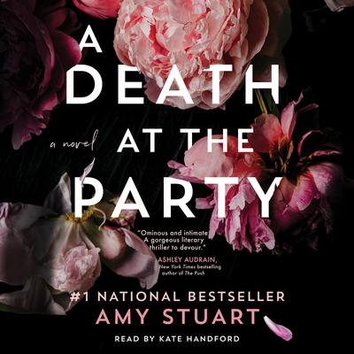 A Death at the Party by Amy Stuart audiobook