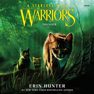 Warriors: A Starless Clan #4: Thunder by Erin Hunter audiobook