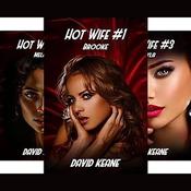 Hot Wife by  David Keane audiobook