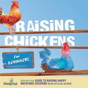 Raising Chickens For Beginners by  Small Footprint Press audiobook