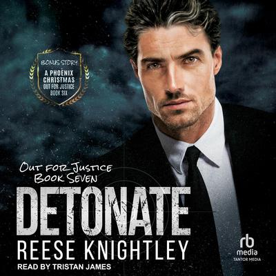 Detonate by Reese Knightley audiobook