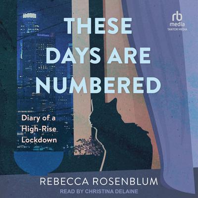 These Days Are Numbered by Rebecca Rosenblum audiobook