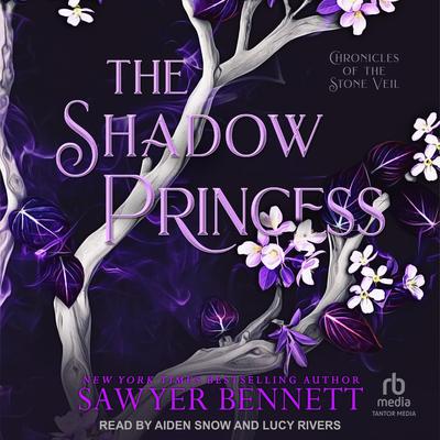 The Shadow Princess by Sawyer Bennett audiobook