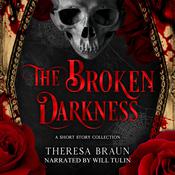 The Broken Darkness by  Theresa Braun audiobook