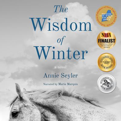 The Wisdom of Winter by Annie Seyler audiobook