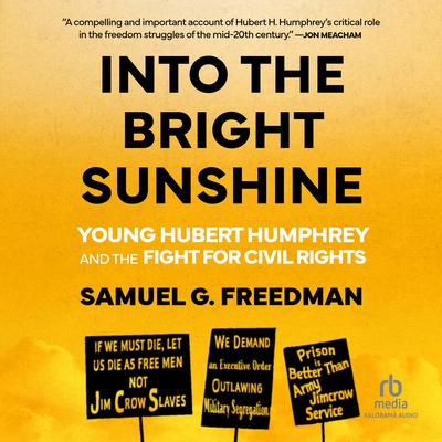 Into the Bright Sunshine by Samuel G. Freedman audiobook