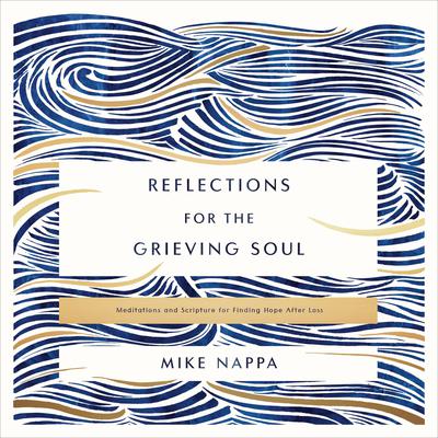 Reflections for the Grieving Soul by Mike Nappa audiobook