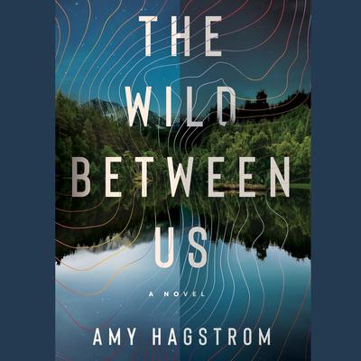 The Wild Between Us by Amy Hagstrom audiobook
