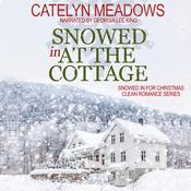 Snowed In at the Cottage by  Catelyn Meadows audiobook