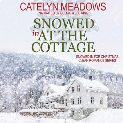 Snowed In at the Cottage by Catelyn Meadows audiobook