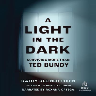 A Light in the Dark by Kathy Kleiner Rubin audiobook