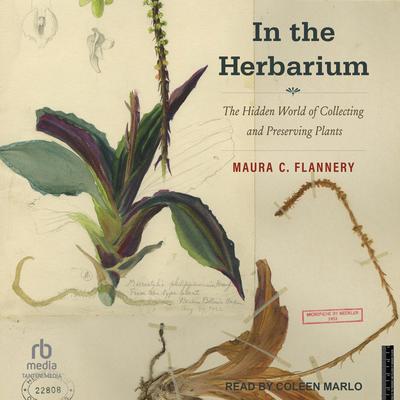 In the Herbarium by Maura C. Flannery audiobook