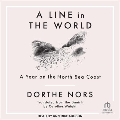 A Line in the World by Dorthe Nors audiobook