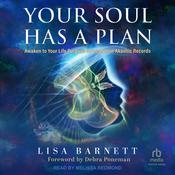 Your Soul Has a Plan by  Lisa Barnett audiobook
