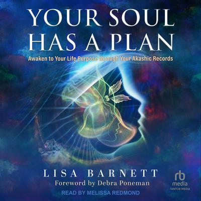 Your Soul Has a Plan by Lisa Barnett audiobook