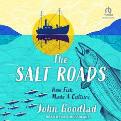 The Salt Roads by John Goodlad audiobook