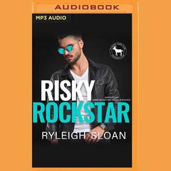 Risky Rockstar by Hero Club audiobook