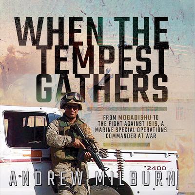 When the Tempest Gathers by Andrew Milburn audiobook