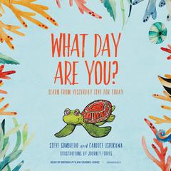 What Day Are You? by Steve Sombrero audiobook