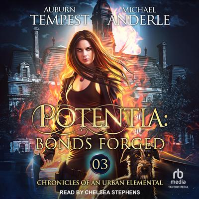 Potentia by Michael Anderle audiobook