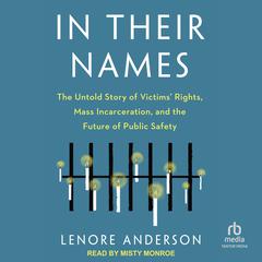In Their Names by Lenore Anderson audiobook