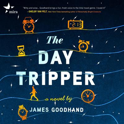 The Day Tripper by James Goodhand audiobook