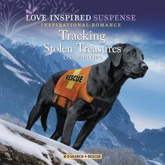 Tracking Stolen Treasures by Lisa Phillips audiobook
