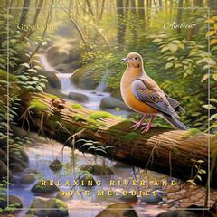 Relaxing River and Dove Melodies: Californian Woodland Ambiance by Greg Cetus audiobook