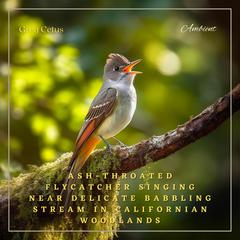 Ash-throated Flycatcher Singing Near Delicate Babbling Stream in Californian Woodlands: Nature Sounds for Yoga and Relaxation by Greg Cetus audiobook