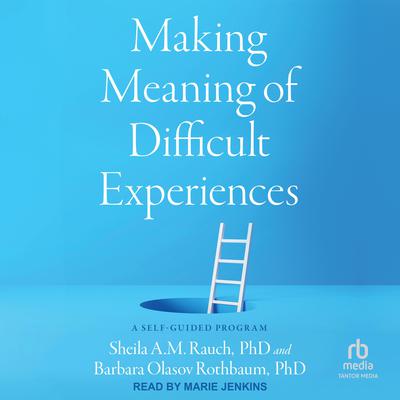 Making Meaning of Difficult Experiences by Sheila A.M. Rauch audiobook