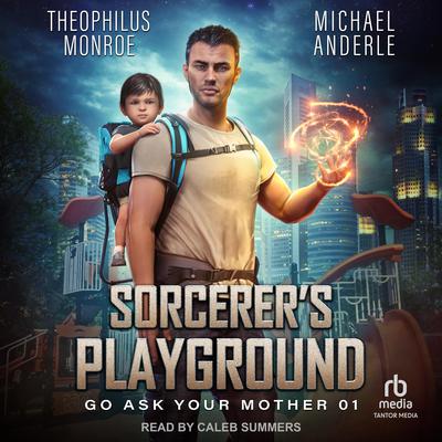 Sorcerer's Playground by Michael Anderle audiobook