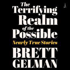 Terrifying Realm of the Possible by Brett Gelman audiobook