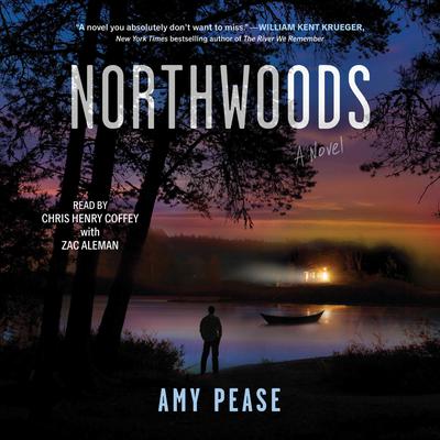 Northwoods by Amy Pease audiobook