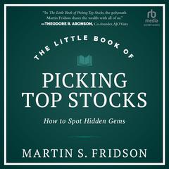 The Little Book of Picking Top Stocks by Martin S. Fridson audiobook