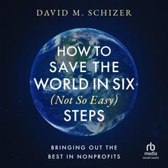 How to Save the World in Six (Not So Easy) Steps by David M. Schizer audiobook