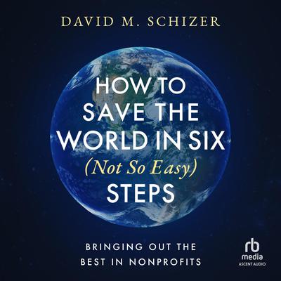 How to Save the World in Six (Not So Easy) Steps by David M. Schizer audiobook