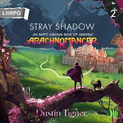 Stray Shadow by Dustin Tigner audiobook