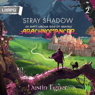 Stray Shadow by Dustin Tigner audiobook