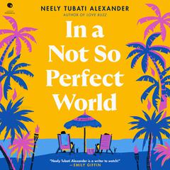 In a Not So Perfect World by Neely Tubati Alexander audiobook